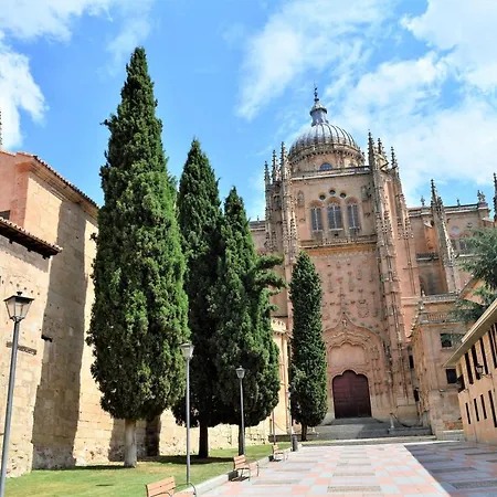 Apartamento Vivienda Bajo Cubierta En Plaza Poeta Iglesias